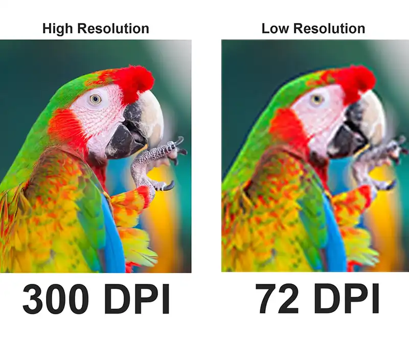 300DPI VS 72DPI impression 300DPI VS 72DPI